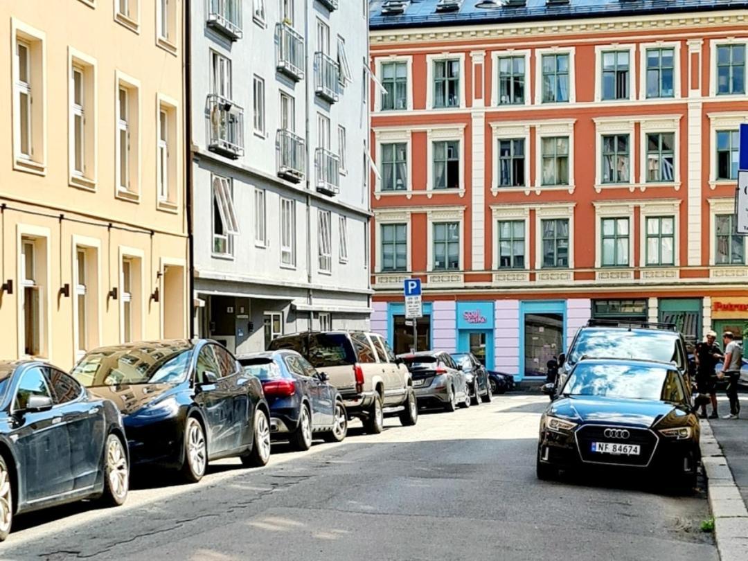 Modern Central Apartment Next To Beautiful Nature2424 Oslo Extérieur photo