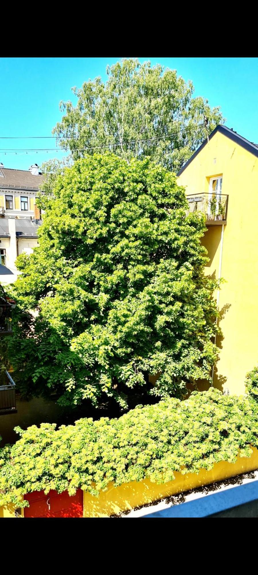 Modern Central Apartment Next To Beautiful Nature2424 Oslo Extérieur photo